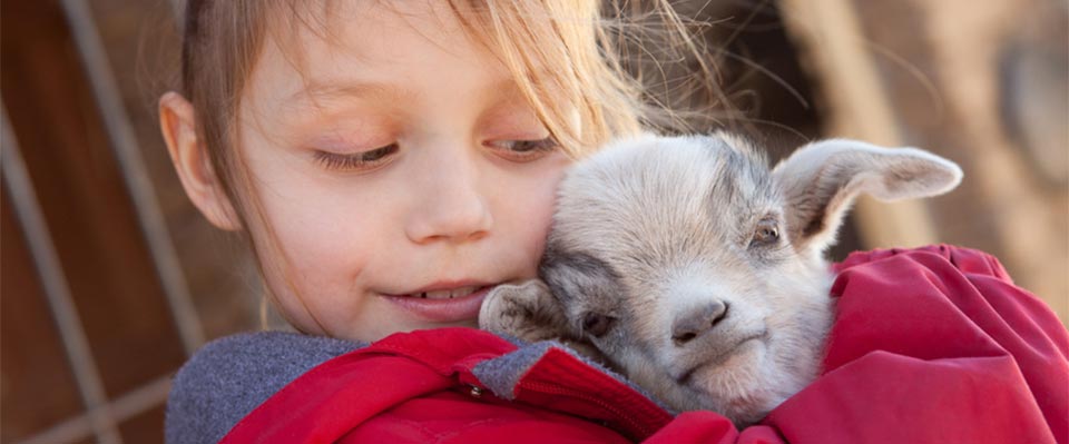 Bambina con animale in Val Senales